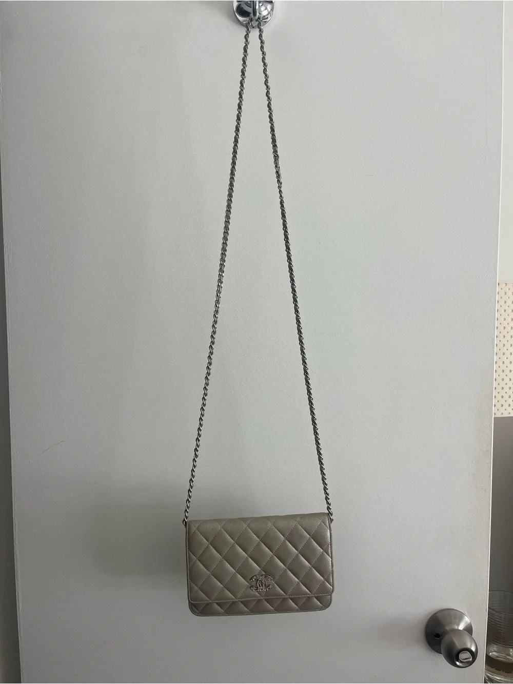 Chanel Metallic Wallet on Chain